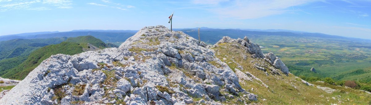 Tontorra