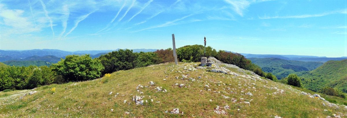 Tontorra