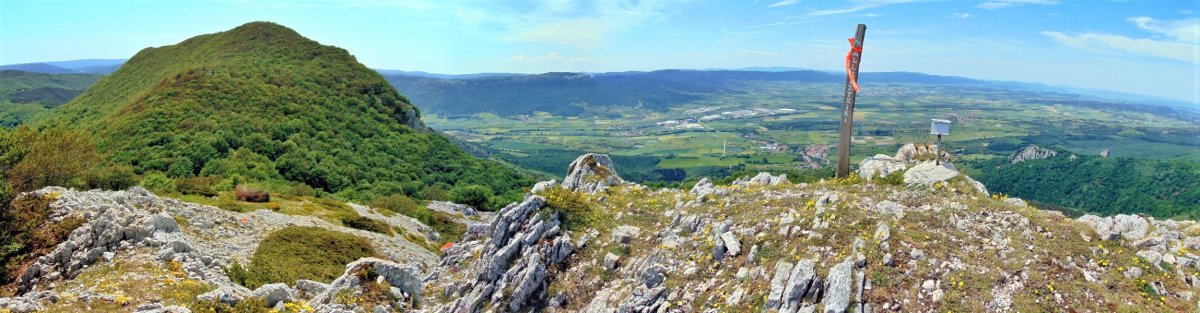 Tontorra