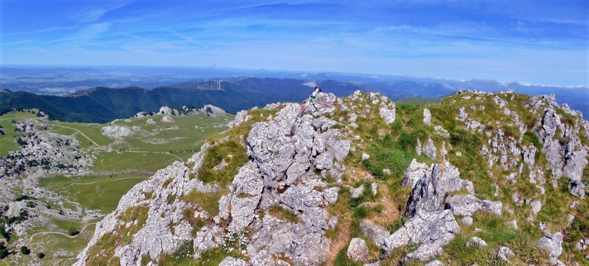 Tontorra
