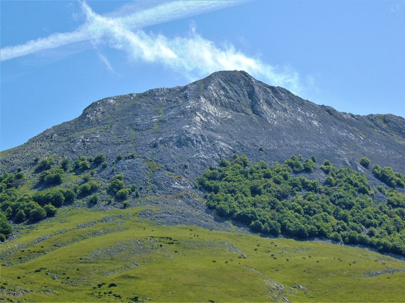 Arbelaitz