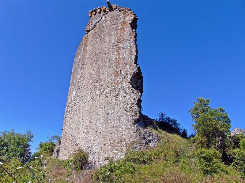 Altamira