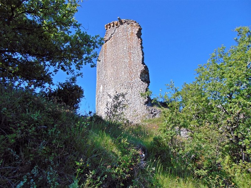Altamira