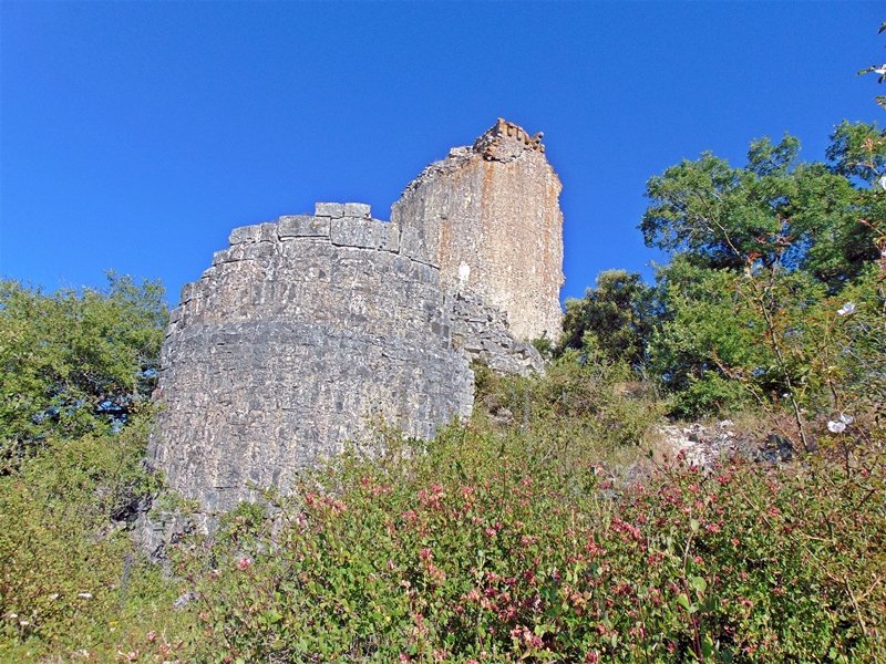Altamira