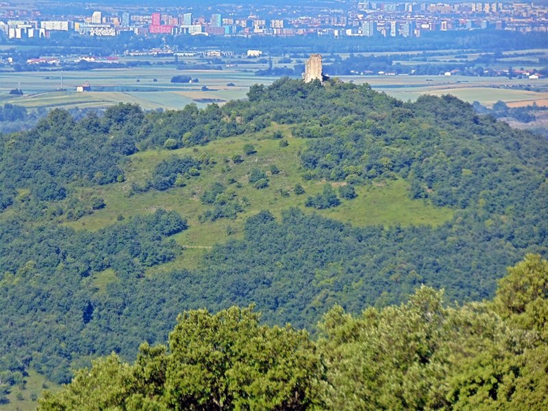Altamira