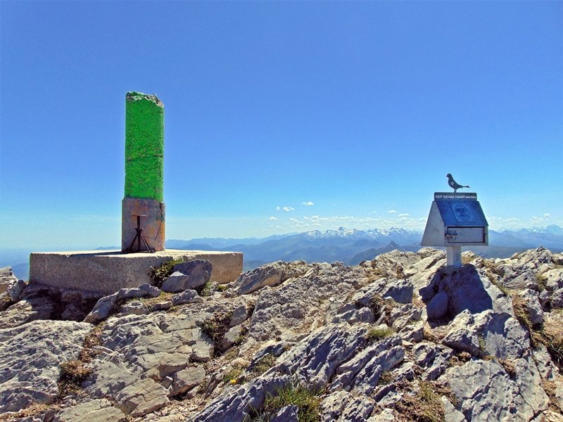 Tontorra