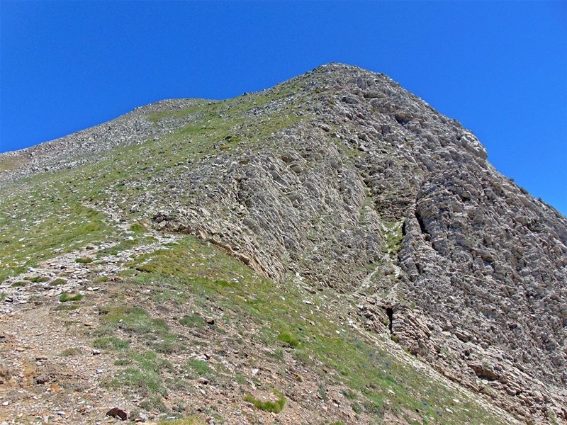 Orhi
