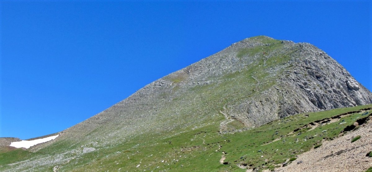 Orhi