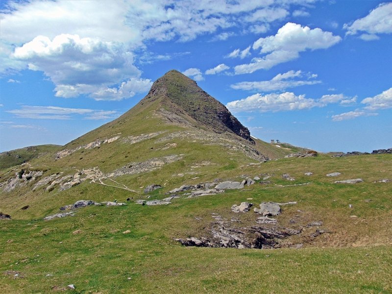Arlas