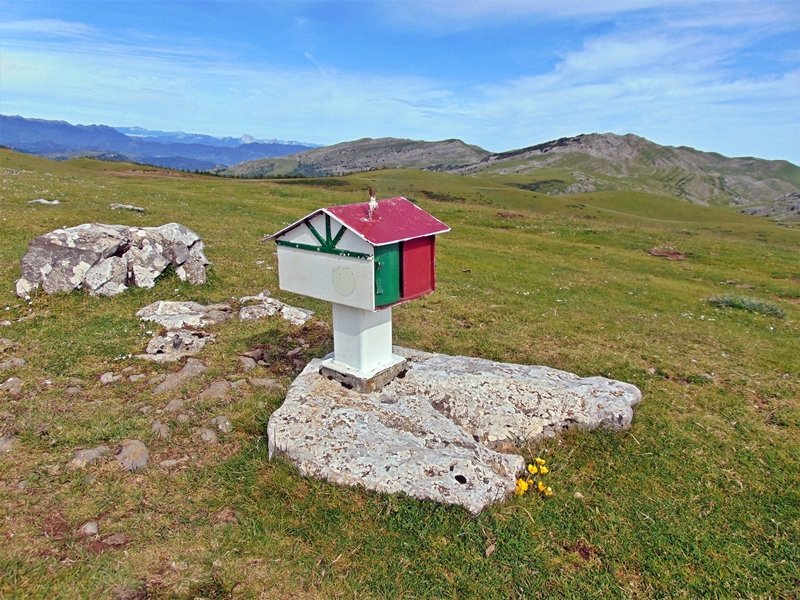 Buzoia