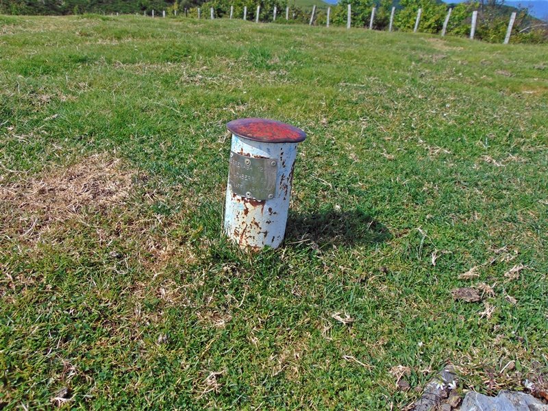 Buzoia