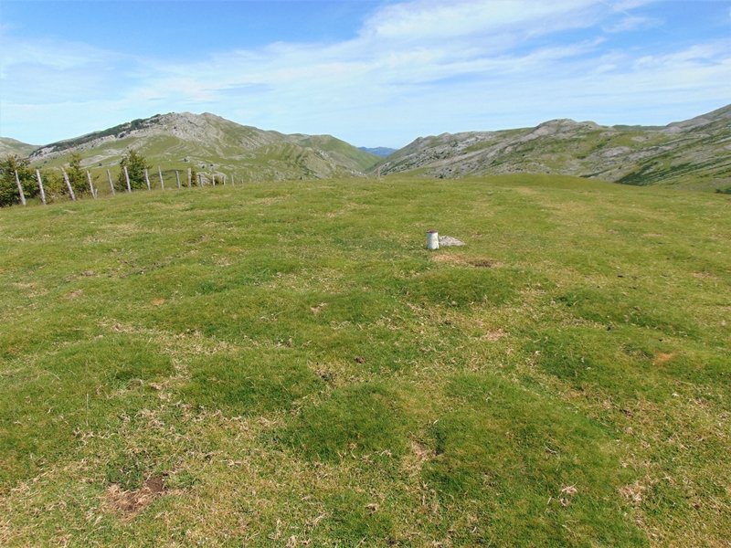 Tontorra