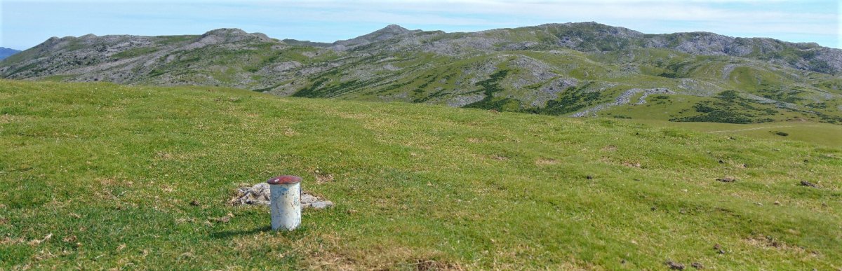 Tontorra