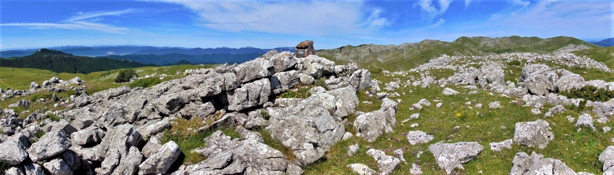 Tontorra