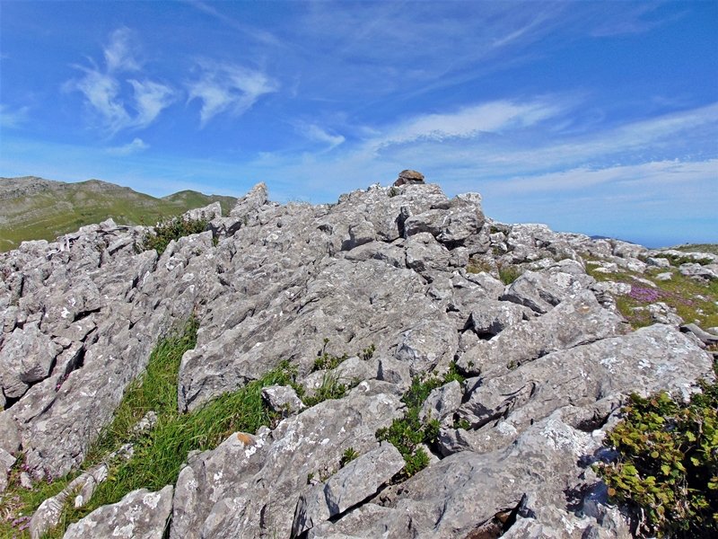 Tontorra
