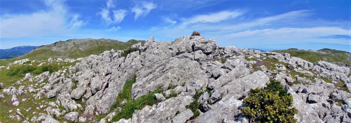 Tontorra