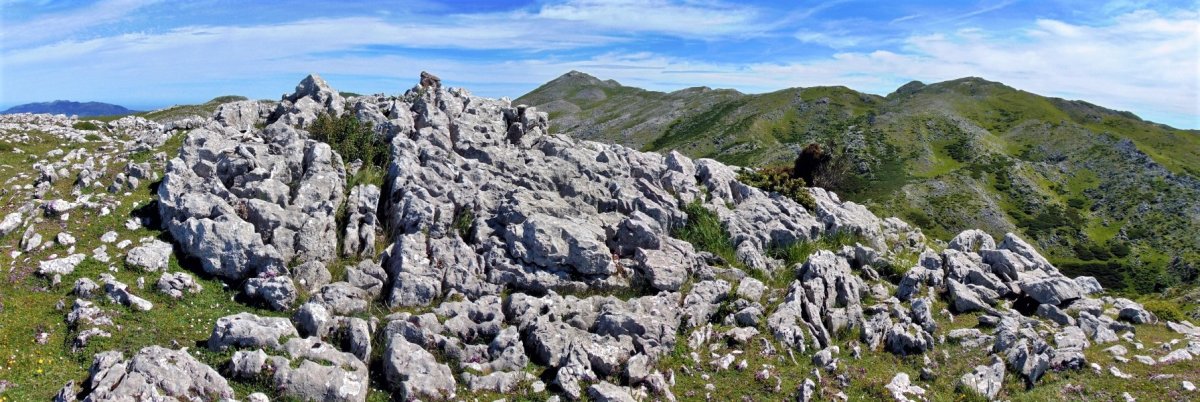 Tontorra