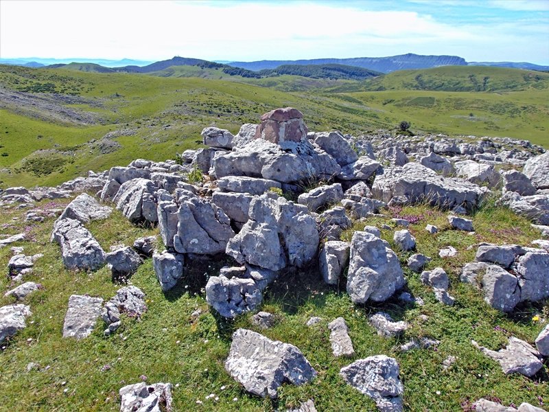 Tontorra