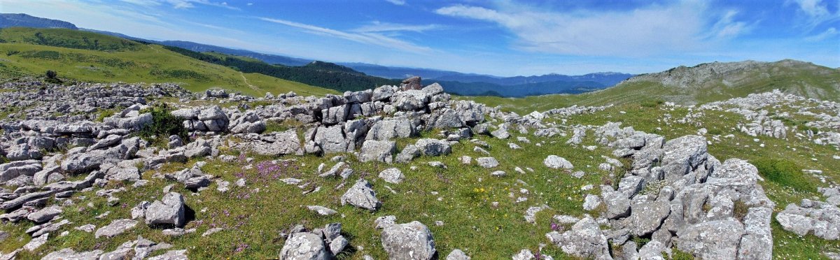 Tontorra