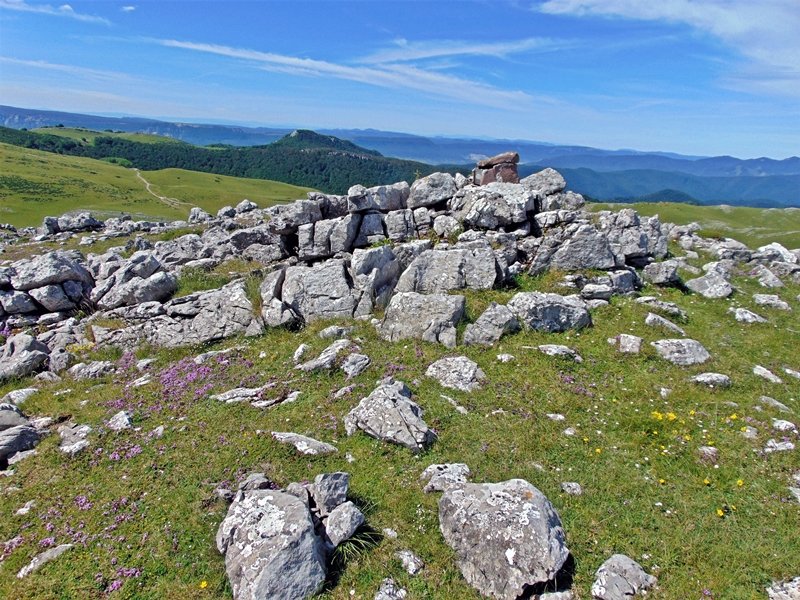 Tontorra