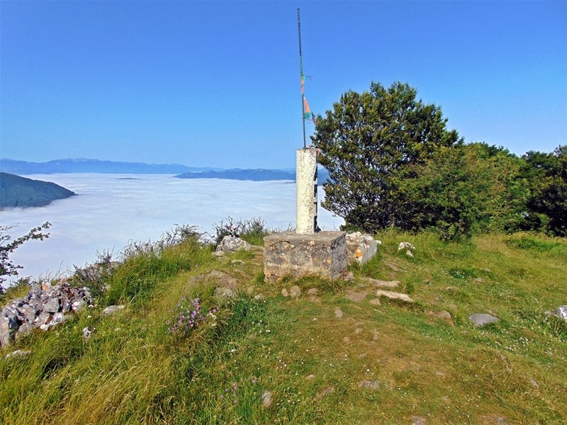 Tontorra