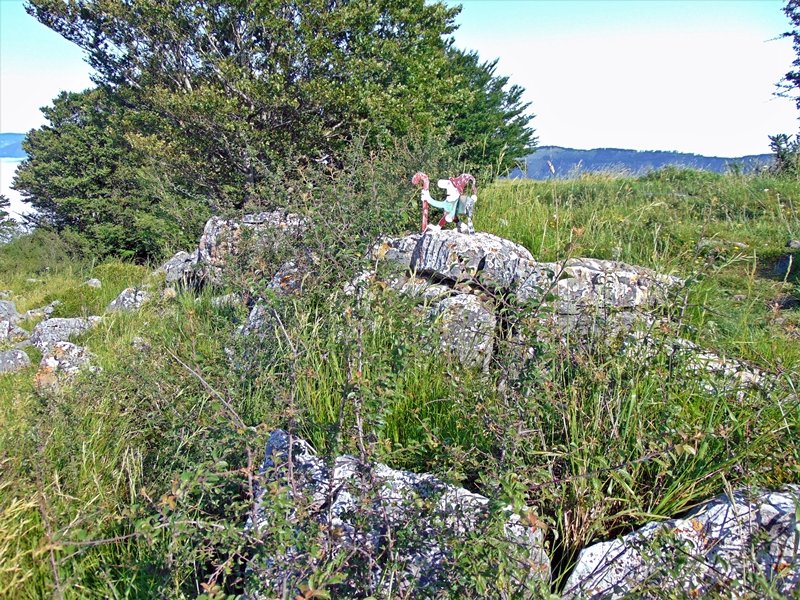 Tontorra