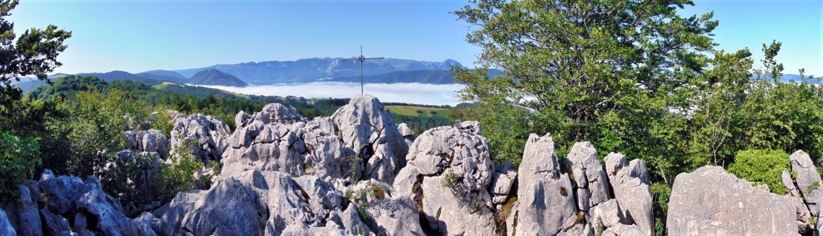 Tontorra