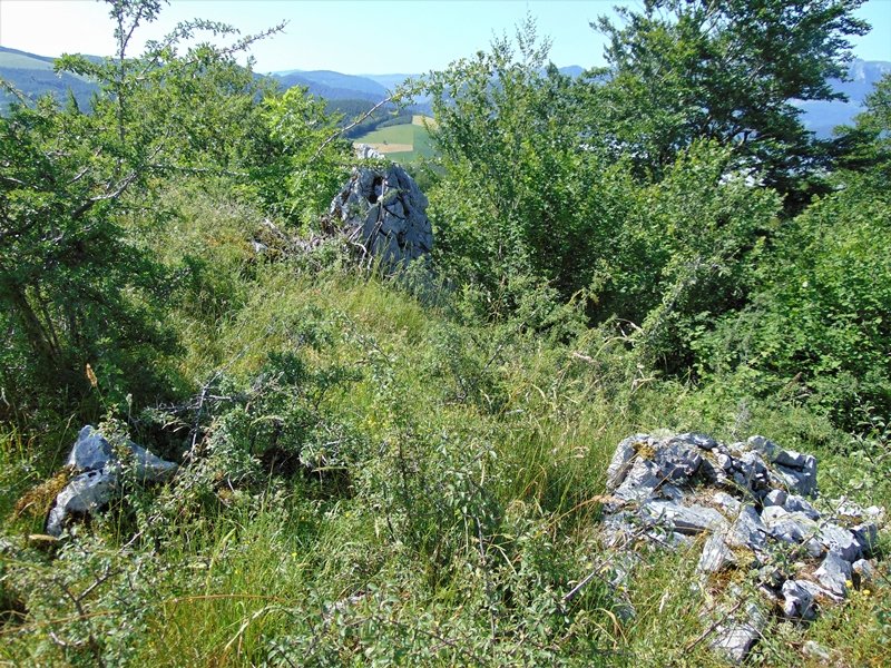 Tontorra
