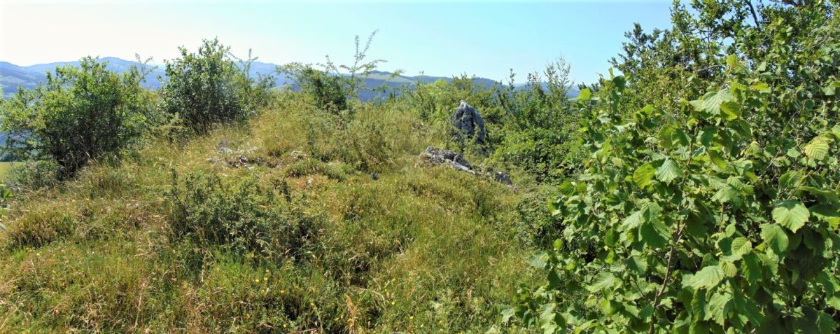 Tontorra