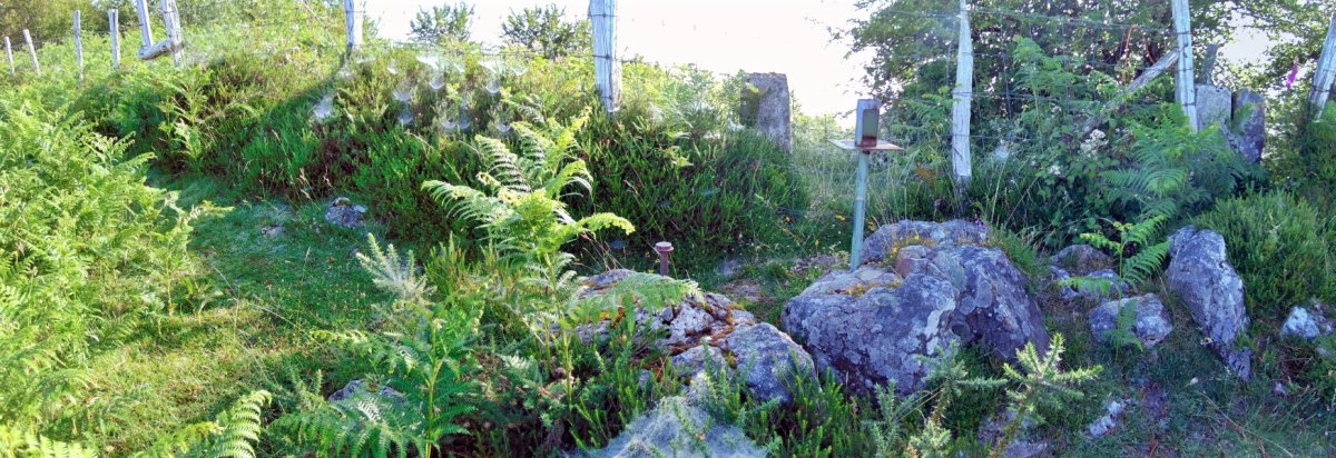 Tontorra