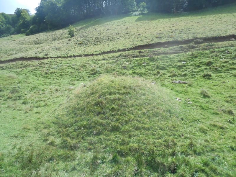 igelua