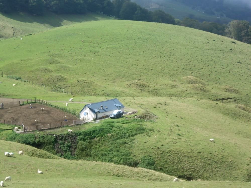 gagnekoa