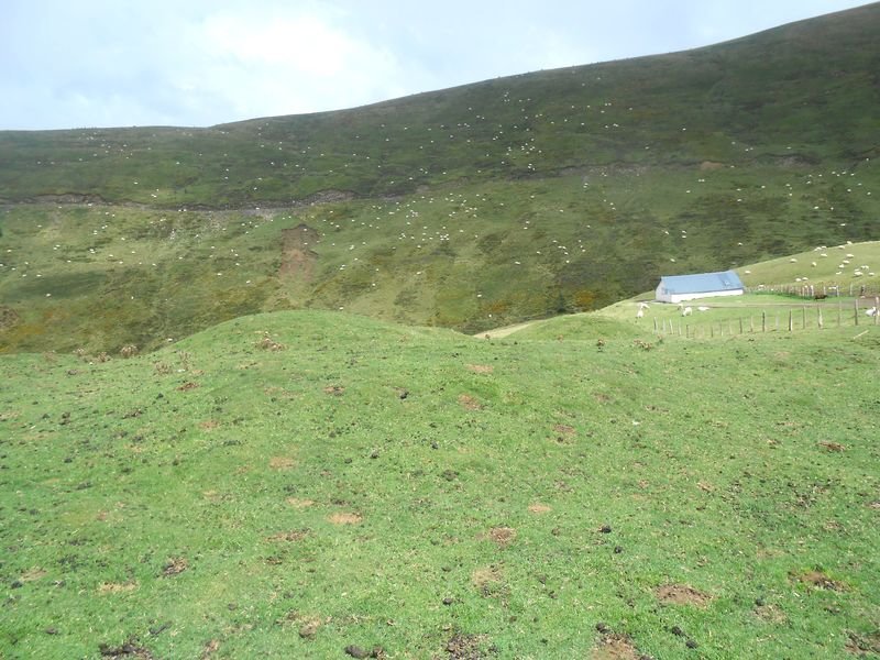 gagnekoa