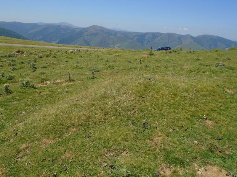 urdanazburu