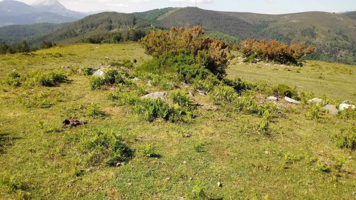 Elgeamendi trikuharria 3