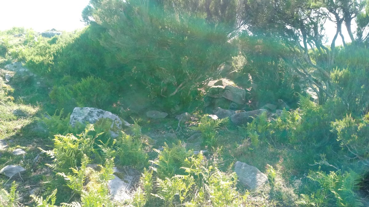 Elgeamendi trikuharria 2