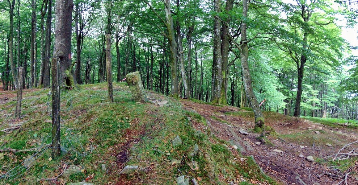 Tontorra