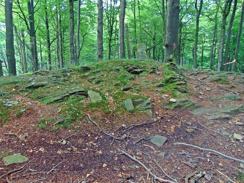 Tontorra