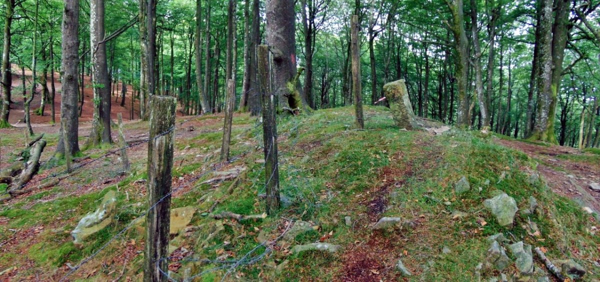 Tontorra