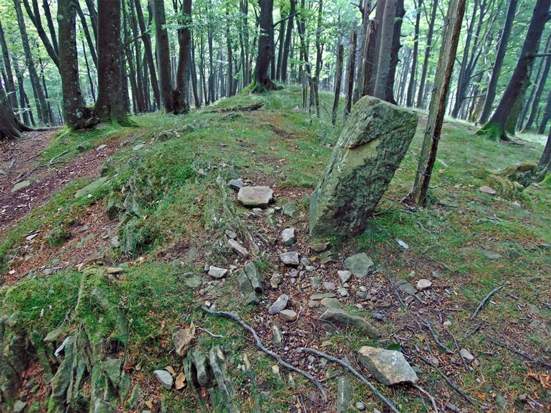 Tontorra