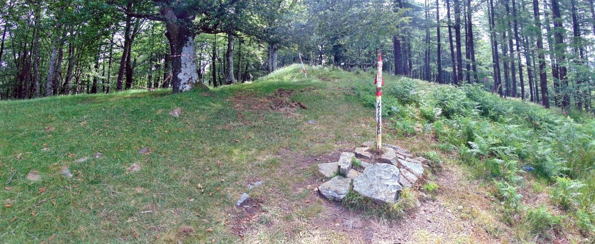 Tontorra