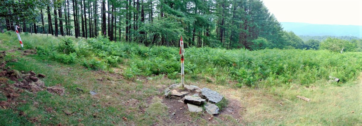 Tontorra