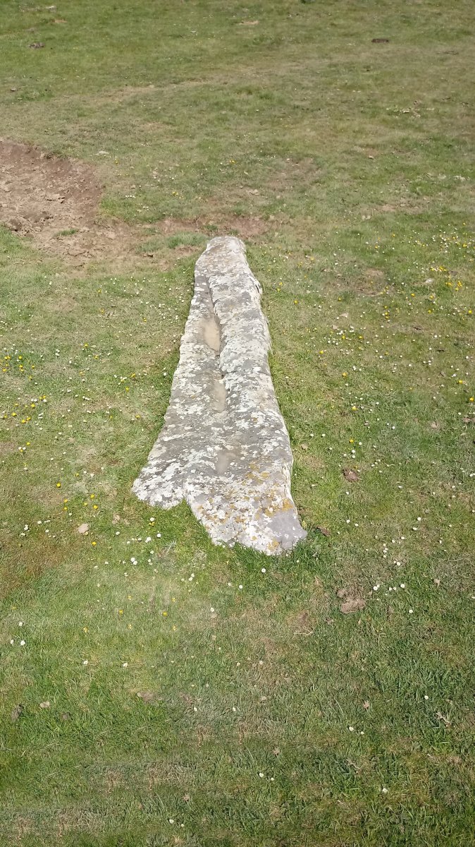 Saltarri zutarria 3