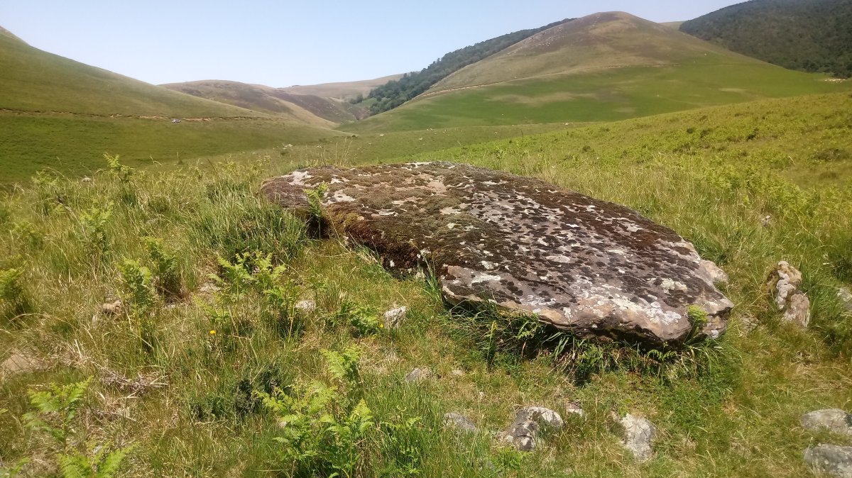 Artxilondo trikuharria 2