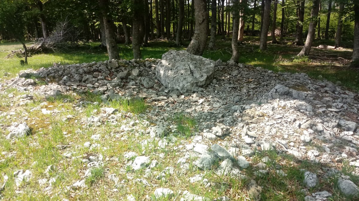 Irutzulo Txikita trikuharria 3