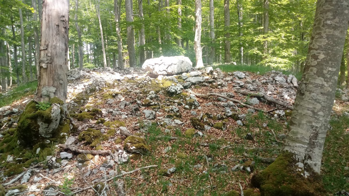 Soiltxiki trikuharria 4