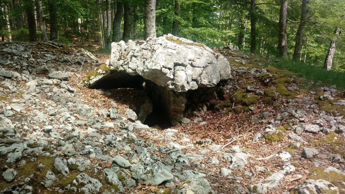 Soiltxiki trikuharria 3