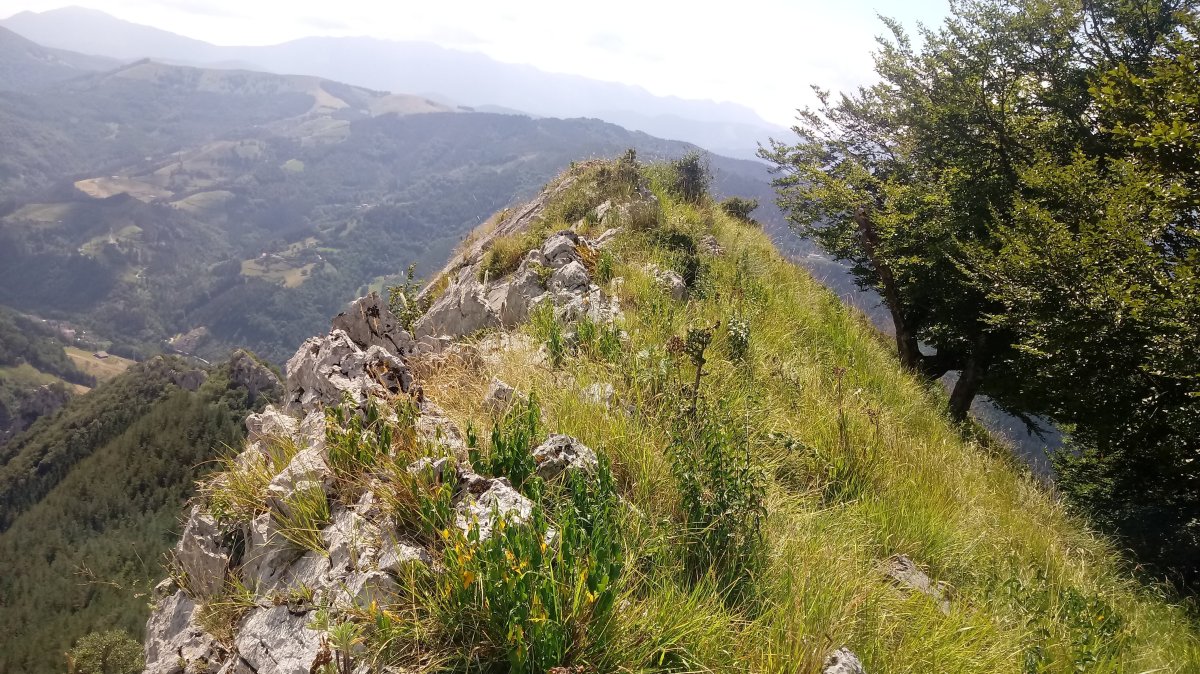 Aizkoate (735m) gaina