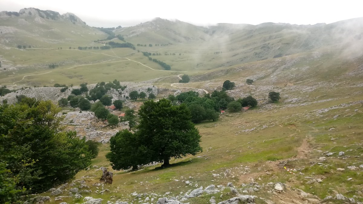 Arbelar eta Urbia