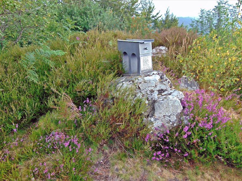 Tontorra